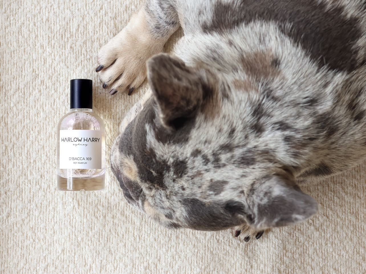 Dog Perfume | L'hermitage