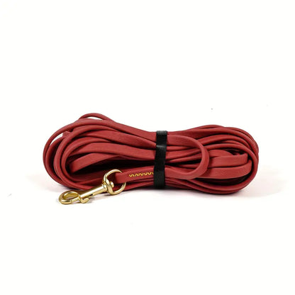 Dog Exercise Leash