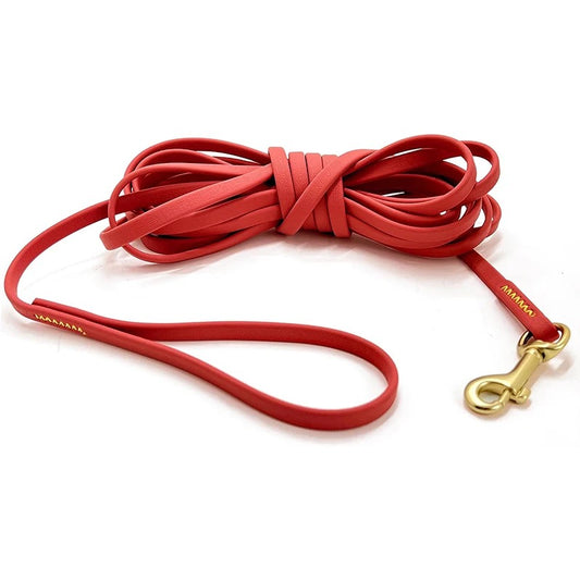 Dog Exercise Leash