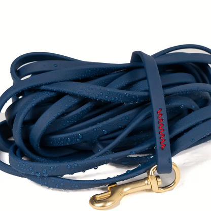 Dog Exercise Leash