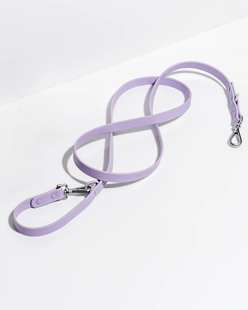 dog adjustable waterproof leash purple